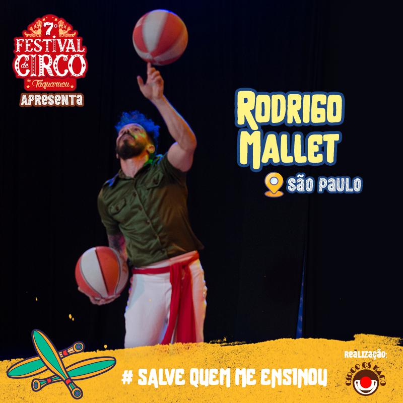 noticias_circus