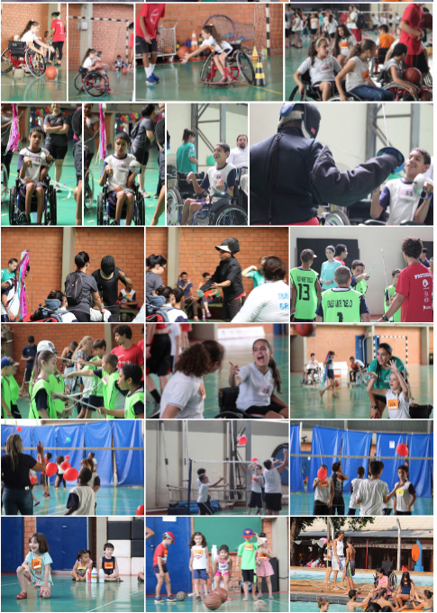 AdaptaFEF 2019