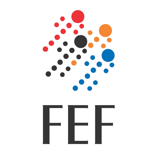 logotipo da fef jpg