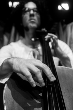 mauro braga