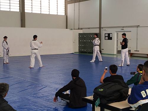 Técnicas de Taekwondo