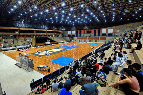 Festival de Budo