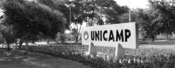 Vestibular Unicamp